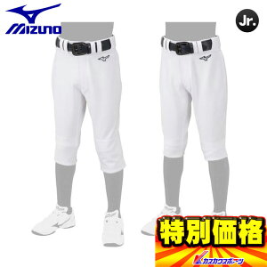 ~Ym WjApKpc/XyApc GACHIjtH[pc 12JD2F8 Iׂ2^Cv 싅 x[X{[