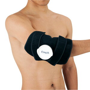 Cing15 C|ing15@X̂ACVOT|[^[iЂEЂEpj