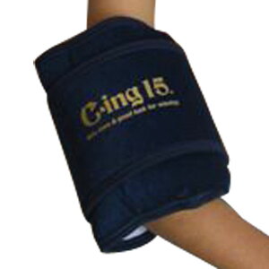 Cing15 C|ing15@WjApACVOT|[^[iЂEEЂpj@AIC-2600J