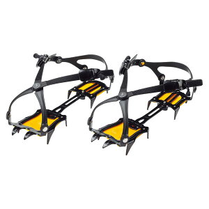 Goj[iEvernewj 10{܃AC[