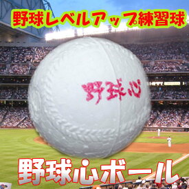楽天市場 グランド グラウンド ボール 野球 ソフトボール スポーツ アウトドアの通販