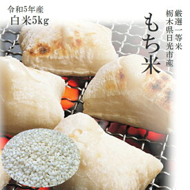 米 令和5年産 もち米 5kg 送料無料栃木県日光市産もち米一等米