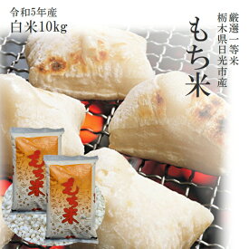 米 令和5年産 もち米 10kg 送料無料栃木県日光市産もち米一等米