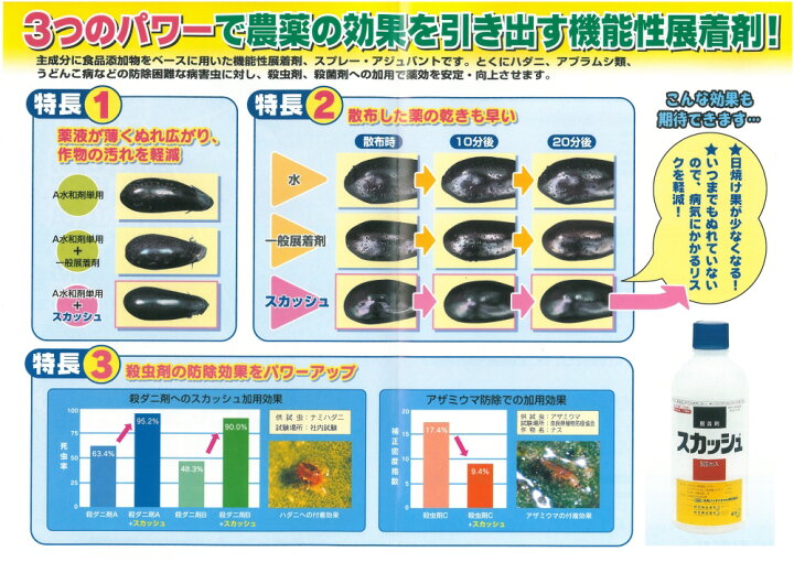 2021年ファッション福袋 スカッシュ500ml×20本展着剤メール便対応は出来ません tsujide.co.jp 2021年ファッション福袋 スカッシュ500ml×20本展着剤メール便対応は出来ません tsujide.co.jp