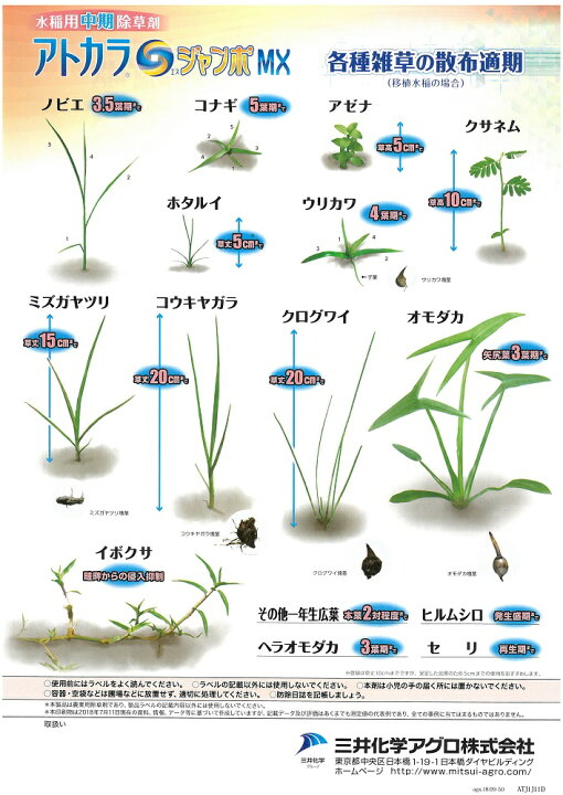 10袋セット アトカラｓジャンボｍｘ 500g 水稲用除草剤 中期除草剤