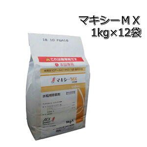 }LV[MX1kg×12܁i1jp