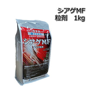VAQMF 1kg×3ܐp܃mrG z^C VYC I_J RiM NOC
