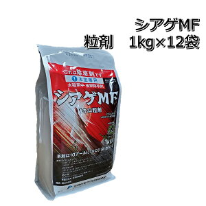 VAQMF 1kg×12܁i1P[Xj p܃mrG z^C VYC I_J RiM NOC