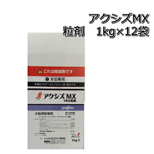ANVYMX  1kg×12ܐpꔭ