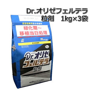 DrI[tFe 1kg×3܈cpEEۍ