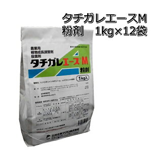 ^`KG[XM1kg×12܎Eۍ܃c\hAc[֑Ή͏o܂BP25Jun15