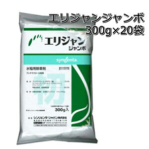 GW W{ 300g×201P[Xp ꔭ