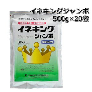 ClLO W{ 500g×201P[Xp ꔭ