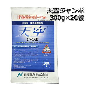 V W{ 300g×201P[Xp ꔭ