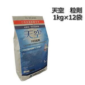 V  1kg×121P[Xp ꔭ