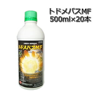 ghoXMF t 500ml×20ܖ{ p܃P[X̔