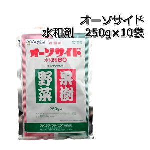I[\TCha80250g×10܎Eۍ