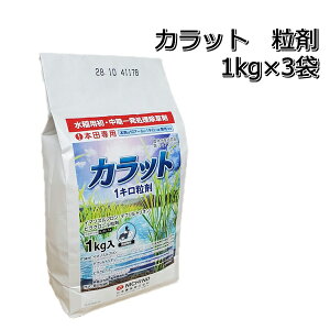 Jbg  1kg×3ܐp ꔭ