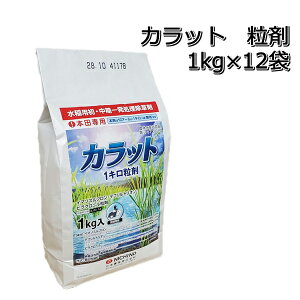 Jbg  1kg×12ܐp ꔭ1P[X