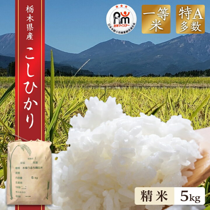 楽天市場】新米 米 5kg 送料無料 コシヒカリ 令和6年産 栃木県産 精米  
