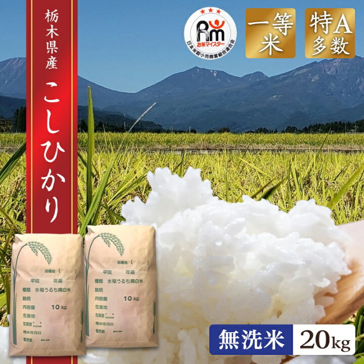 楽天市場】新米 米 20kg (10kg×2) 無洗米 送料無料コシヒカリ 令和6 
