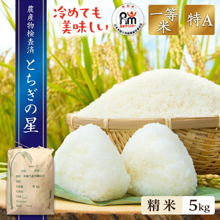 楽天市場】新米 米 5kg 送料無料 とちぎの星 令和6年産 栃木県産 あす  
