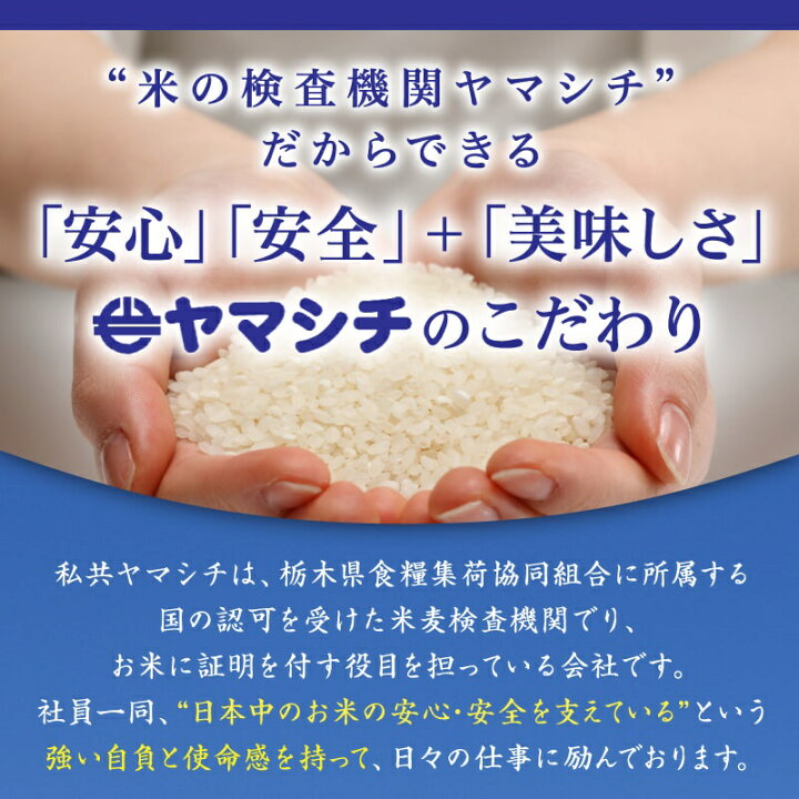 楽天市場】米 10kg (5kg×2) 送料無料あさひの夢 令和7年産 栃木県 精米 
