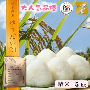 V 5kg 䂤21 ߘa7NY Ȗ، sY  ĖkCEBꕔ͕ʓr500~|܂B