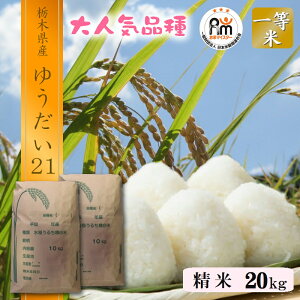 V 20kg (10kg×2) 䂤21 ߘa7NY Ȗ، sY  ĖkCEBꕔ͕ʓr500~|܂B