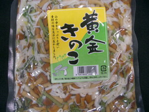 ̂yy/LmRzy|Xg֑Ήz[ւȂ瑗ł