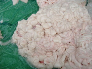 ՂՂAgg@YtbV}_qyⓀszyw͂z