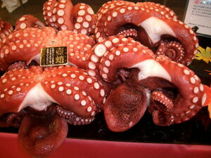 {C@@800gO@^R/Ă/DݏĂ/