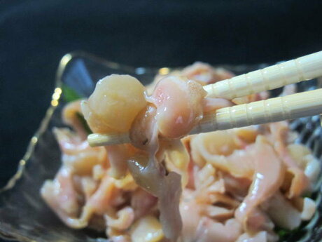 刺身用赤貝のヒモ 冷凍ではありませんよ 同梱は常温か冷蔵扱いに限ります 貝ひも Sale 56 Off あかがい