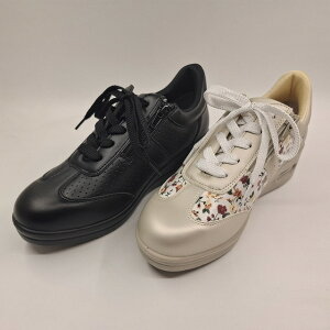 q[AbvGA\[Xj[J[qC@t@Xi[^Cv JWAV[Y@GA[@ɂ @hdl@L@3E fB[X@  @ EH[LO  ubN R