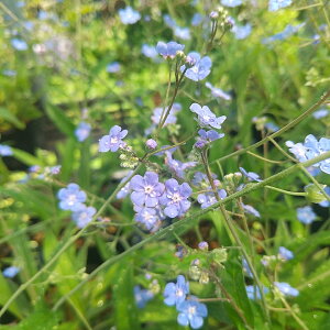 AɋhuIt@fX JbphLJv 10.5Z`|bgc