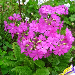 ujzTN\Ev ЂȂA܂ 9Z`|bgc