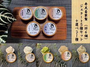 ギフト デザート ジェラート 計6個 ジェラート5種 選べる1種 酒粕 ミルク 宇治抹茶 京ほうじ茶 京番茶 ジェラートセット ジェラート詰め合わせ ジェラートギフト 冷たいスイーツ お取り寄せ
