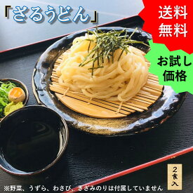 お試しうどん ざるうどん 冷凍 うどん 生麺 udonn 冷凍うどん セット お試し だし付き お取り寄せうどん お取り寄せ うどんの通販 高級うどん セット 冷凍食品 昼ご飯 うどんつゆ 関西風 うどんだし うどん出汁 生うどん 美味しいうどん グルメ やまびこ弁天