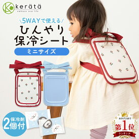 (ケラッタ) ベビーカー 抱っこ紐 保冷シート ミニサイズ 保冷剤 保冷 保温 べビー チャイルドシート まくら 枕 リュック ひんやり 暑さ対策 おでかけ 保冷剤2個付き 接触冷感 パイル地