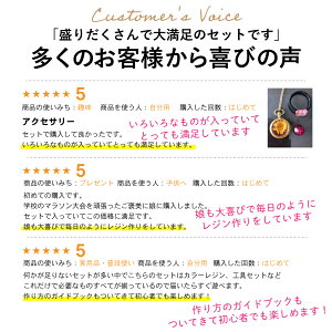 楽天市場 ケラッタ Uv レジン クラフト セット スターターキット 初心者 ドライフラワーでボタニカルアクセが作れる レジン液 Uv Led ライト 着色剤 空枠 ミール皿 モールド 送料無料 やまびこ屋 楽天市場店