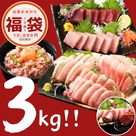 マグロ まぐろ 福袋 3kg 食べ物 魚 中トロ 赤身 焼津 送料無料 小分け 冷凍 簡単 お祝い プレゼント ギフ…