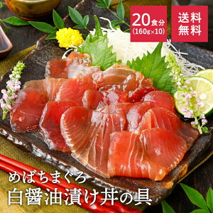 y50OFFN[|11/4()20:00-11/11()1:59z o`}O ܂ ݖЂ̋ 160g×10 e   Ԑg maguro }g^A