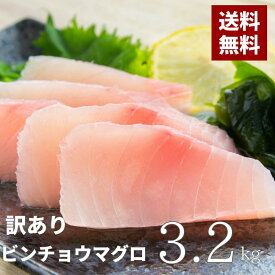 【6/1(土)0:00より販売再開】 訳あり まぐろ マグロ 食品 食べ物 在庫処分 フードロス まぐろ マグロ 大容量 赤身 刺身 びんちょうまぐろ びんながまぐろ 3.2kg 静岡県産 送料無料 自宅用 お徳用 ぶつ切り 一人暮らし 業務用 天然 晩酌 おつまみ