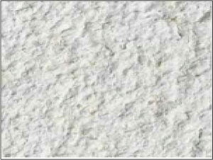 y݁zy񂹏izɍ邾C^AY10kgNlI