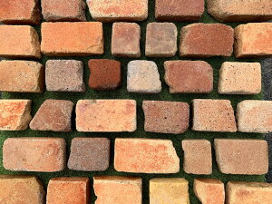 ys`KlCio[zy݁zy܂ŔzBzyAeB[NKz}|Rx[VbN1Zbgi召10