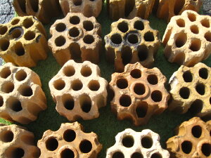 y݁zy2zg낢yAeB[NKztMiꌇ傫߁j