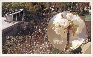 【平成9年】桜の通り抜け 貨幣セット 平成9年(1997年)【ミントセット】