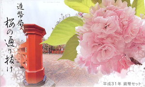 y31Nz ̒ʂ蔲 2019N@ݕZbgy~gZbgz