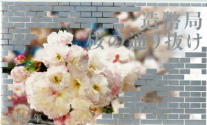 yߘa7Nz ̒ʂ蔲 2025 ݕZbg y~gZbgz