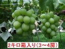 翠峰 2キロ箱（3〜4房前後） ランキングお取り寄せ